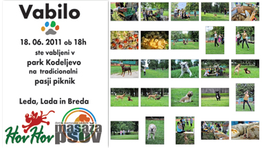 Breda Kralj, Leda Zajc, hov hov, pripro�nik za masa�o psov 