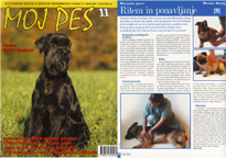 Breda Kralj, masa�a psov, te�aj masa�e psov, kinolo�ko dru�tvo Aport, Barbara �ebohin, masa�a psov, Breda Kralj, Slovenski priro�nik za masa�o psov, te�aj masa�e psov, mojpes