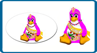 linux, miss, contest, pink, tiara, rose